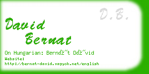 david bernat business card